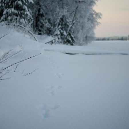 Saenkelae Cottage Lämsä Zewnętrze zdjęcie