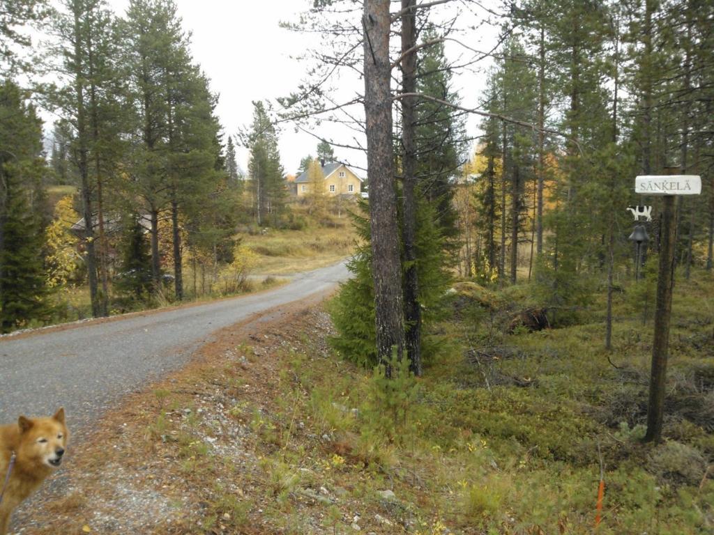 Saenkelae Cottage Lämsä Zewnętrze zdjęcie