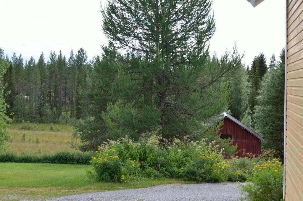 Saenkelae Cottage Lämsä Zewnętrze zdjęcie